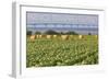 Prince Edward Island - Confederation Bridge and Hay Bales-Lantern Press-Framed Art Print