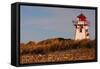 Prince Edward Island - Covehead Lighthouse-Lantern Press-Framed Stretched Canvas