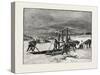 Prince Edward Island, Digging Mussel Mud, Canada, Nineteenth Century-null-Stretched Canvas