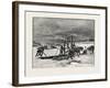 Prince Edward Island, Digging Mussel Mud, Canada, Nineteenth Century-null-Framed Giclee Print