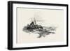 Prince Edward Island, from Pictou to Georgetown, Canada, Nineteenth Century-null-Framed Giclee Print