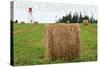 Prince Edward Island - Lighthouse and Farm-Lantern Press-Stretched Canvas