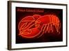 Prince Edward Island - Lobster Neon Sign-Lantern Press-Framed Art Print