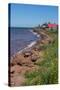 Prince Edward Island, Prim Point Shore and Waves with Red Roof House in Summer with Wildflowers-Bill Bachmann-Stretched Canvas