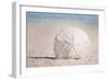 Prince Edward Island - Sand Dollar-Lantern Press-Framed Art Print