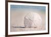 Prince Edward Island - Sand Dollar-Lantern Press-Framed Art Print