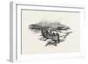 Prince Edward Island-null-Framed Giclee Print