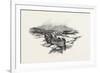 Prince Edward Island-null-Framed Giclee Print