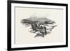 Prince Edward Island-null-Framed Giclee Print