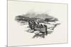 Prince Edward Island-null-Mounted Giclee Print