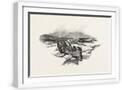 White Frame