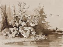 Study of Plants by a Stream with Ducks, with Additions by an Instructor, 1856-Prince Gaetano Maria Federico di Borbone-Laminated Giclee Print