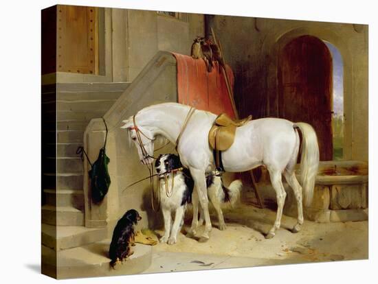 Prince George's Favourites-Edwin Henry Landseer-Stretched Canvas
