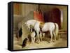 Prince George's Favourites-Edwin Henry Landseer-Framed Stretched Canvas