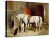 Prince George's Favourites-Edwin Henry Landseer-Stretched Canvas