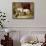 Prince George's Favourites-Edwin Henry Landseer-Framed Stretched Canvas displayed on a wall