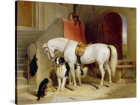 Prince George's Favourites-Edwin Henry Landseer-Stretched Canvas