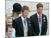 Prince Harry and Prince William after the wedding ceremony at Windsor Guildhall, for their father P-null-Mounted Photographic Print