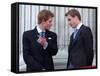 Prince Harry and Prince William at the Trooping of the Colour, June 2003-null-Framed Stretched Canvas