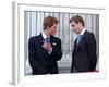 Prince Harry and Prince William at the Trooping of the Colour, June 2003-null-Framed Photographic Print