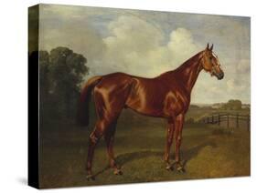 Prince Hatzfeldt's Chestnut Gelding 'Ascetic's Silver' in a Paddock-Emil Adam-Stretched Canvas