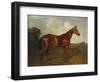 Prince Hatzfeldt's Chestnut Gelding 'Ascetic's Silver' in a Paddock-Emil Adam-Framed Premium Giclee Print