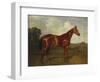 Prince Hatzfeldt's Chestnut Gelding 'Ascetic's Silver' in a Paddock-Emil Adam-Framed Premium Giclee Print