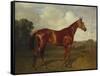 Prince Hatzfeldt's Chestnut Gelding 'Ascetic's Silver' in a Paddock-Emil Adam-Framed Stretched Canvas