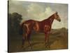 Prince Hatzfeldt's Chestnut Gelding 'Ascetic's Silver' in a Paddock-Emil Adam-Stretched Canvas