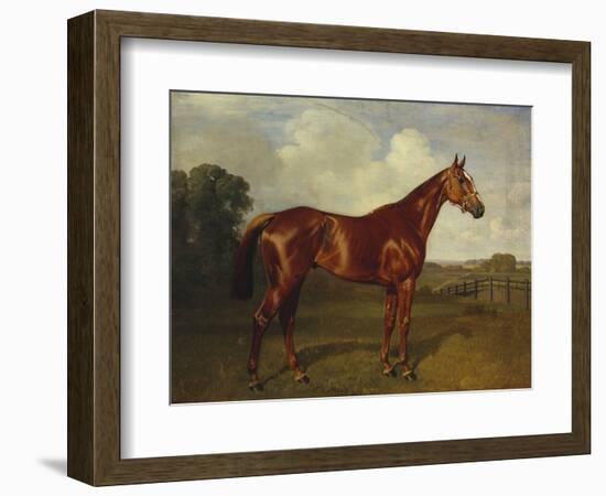 Prince Hatzfeldt's Chestnut Gelding 'Ascetic's Silver' in a Paddock-Emil Adam-Framed Giclee Print