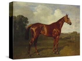 Prince Hatzfeldt's Chestnut Gelding 'Ascetic's Silver' in a Paddock-Emil Adam-Stretched Canvas