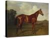 Prince Hatzfeldt's Chestnut Gelding 'Ascetic's Silver' in a Paddock-Emil Adam-Stretched Canvas