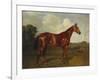 Prince Hatzfeldt's Chestnut Gelding 'Ascetic's Silver' in a Paddock-Emil Adam-Framed Giclee Print