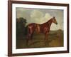 Prince Hatzfeldt's Chestnut Gelding 'Ascetic's Silver' in a Paddock-Emil Adam-Framed Giclee Print