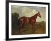 Prince Hatzfeldt's Chestnut Gelding 'Ascetic's Silver' in a Paddock-Emil Adam-Framed Giclee Print