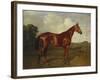 Prince Hatzfeldt's Chestnut Gelding 'Ascetic's Silver' in a Paddock-Emil Adam-Framed Giclee Print