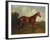 Prince Hatzfeldt's Chestnut Gelding 'Ascetic's Silver' in a Paddock-Emil Adam-Framed Giclee Print