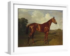 Prince Hatzfeldt's Chestnut Gelding 'Ascetic's Silver' in a Paddock-Emil Adam-Framed Giclee Print