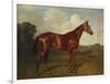 Prince Hatzfeldt's Chestnut Gelding 'Ascetic's Silver' in a Paddock-Emil Adam-Framed Giclee Print