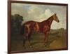 Prince Hatzfeldt's Chestnut Gelding 'Ascetic's Silver' in a Paddock-Emil Adam-Framed Giclee Print