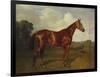 Prince Hatzfeldt's Chestnut Gelding 'Ascetic's Silver' in a Paddock-Emil Adam-Framed Giclee Print