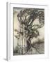 Prince into Tree-Arthur Rackham-Framed Photographic Print