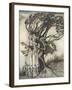 Prince into Tree-Arthur Rackham-Framed Photographic Print