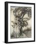 Prince into Tree-Arthur Rackham-Framed Photographic Print