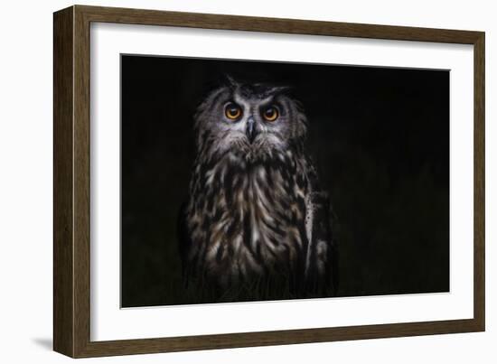 Prince Of The Night-Martine Benezech-Framed Giclee Print