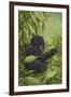 Prince of the Virungas-Michael Jackson-Framed Giclee Print