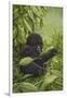 Prince of the Virungas-Michael Jackson-Framed Giclee Print