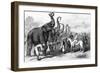 Prince of Wales with Troops and Elephants-null-Framed Giclee Print