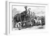 Prince of Wales with Troops and Elephants-null-Framed Giclee Print