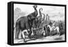 Prince of Wales with Troops and Elephants-null-Framed Stretched Canvas